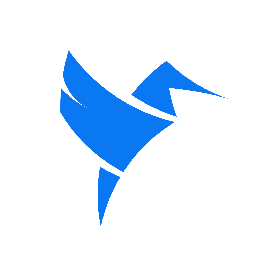 /img/codifly_logo.png